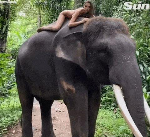 22岁俄罗斯女模特裸体骑濒危大象,网友气愤不已,当事人辩解后道歉